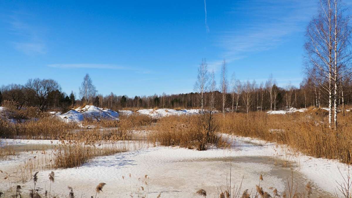 ����� ���������! ����� �������� �������� �� PhotoGeek.ru #������ ��� �������