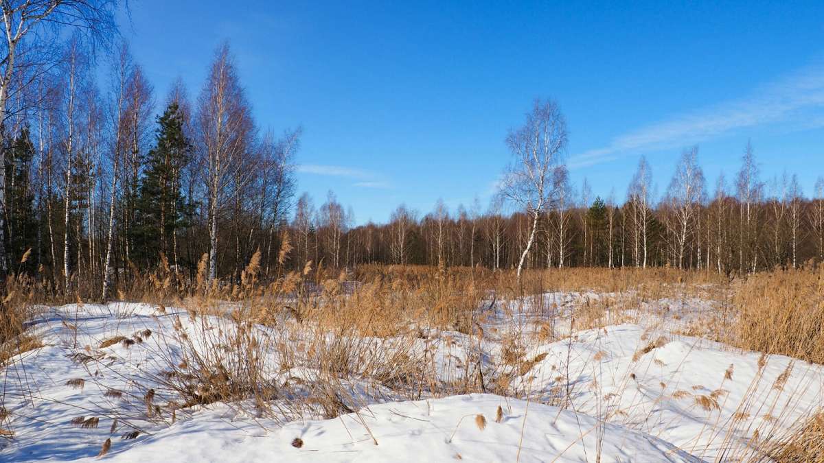 ��� �����. ����� �������� �������� �� PhotoGeek.ru #������ ��� �������