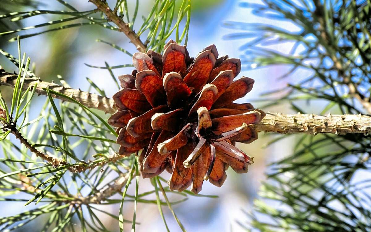 �������� �����. ����� �������� �������� �� PhotoGeek.ru #�����