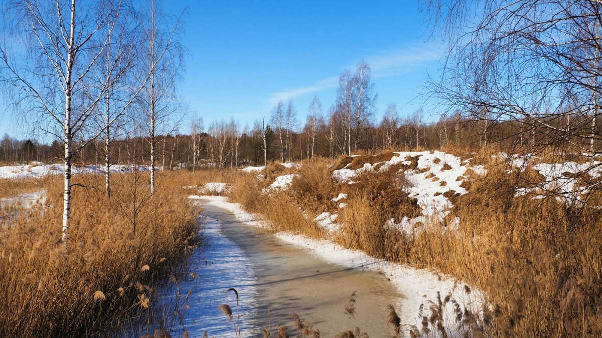 ����� - ����. ����� �������� �������� �� PhotoGeek.ru #������ ��� �������