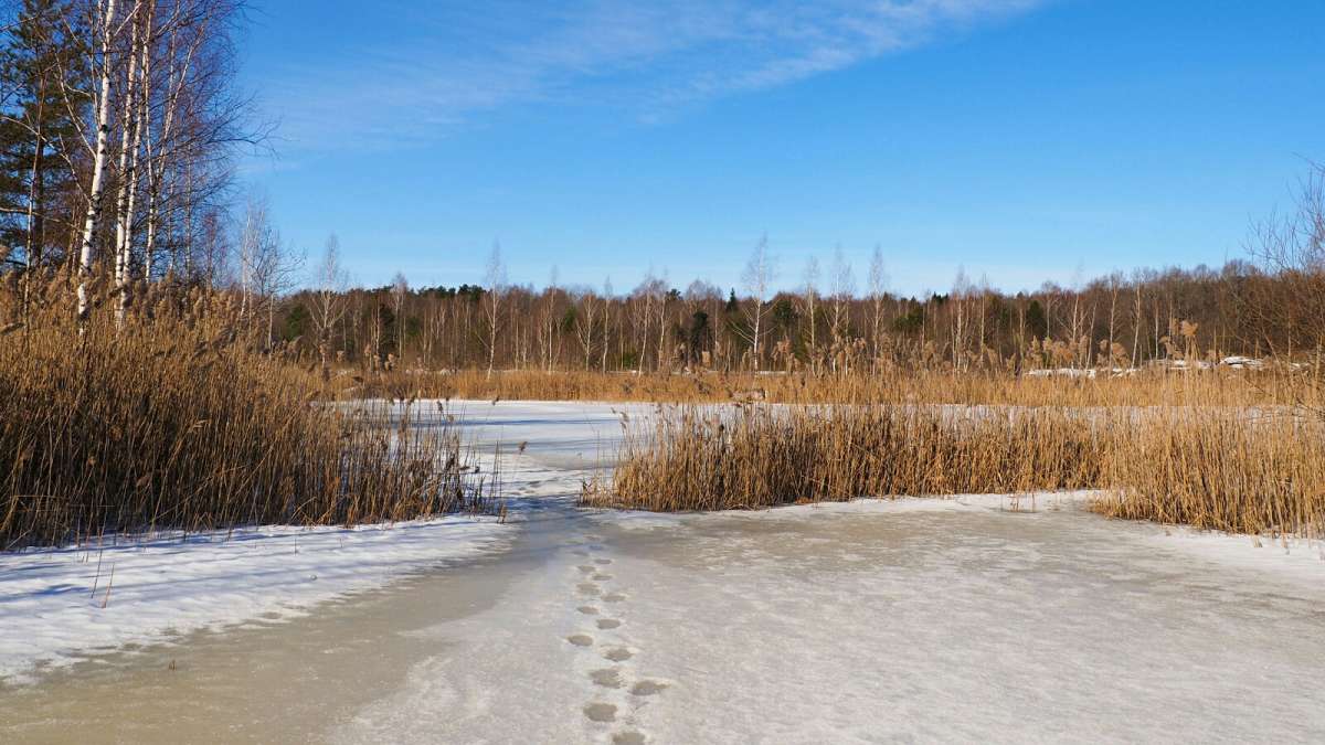 ���� ����������. ����� �������� �������� �� PhotoGeek.ru #������ ��� �������