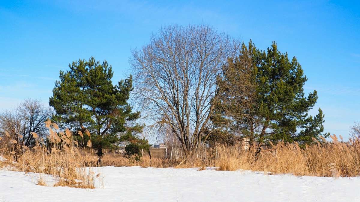 ���������� �������. ����� �������� �������� �� PhotoGeek.ru #������ ��� �������