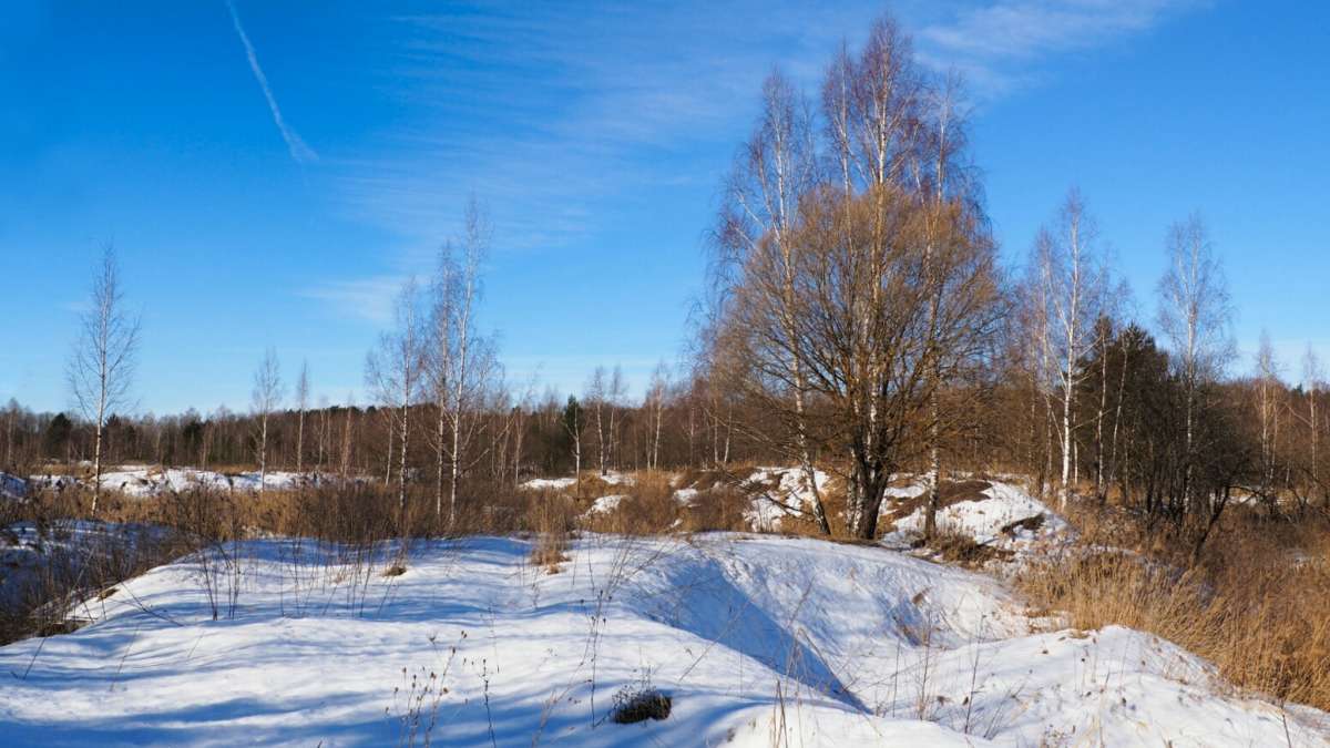 ��� �����. ����� �������� �������� �� PhotoGeek.ru #������ ��� �������