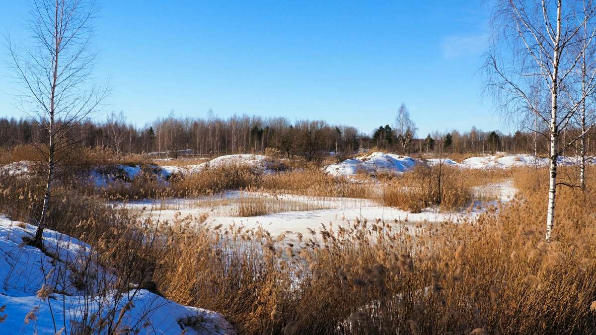 �������� �������. ����� �������� �������� �� PhotoGeek.ru #������ ��� �������