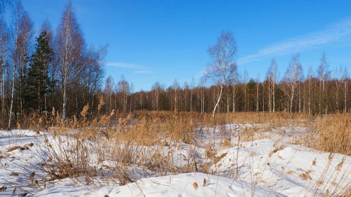 ��� �����. ����� �������� �������� �� PhotoGeek.ru #������ ��� �������