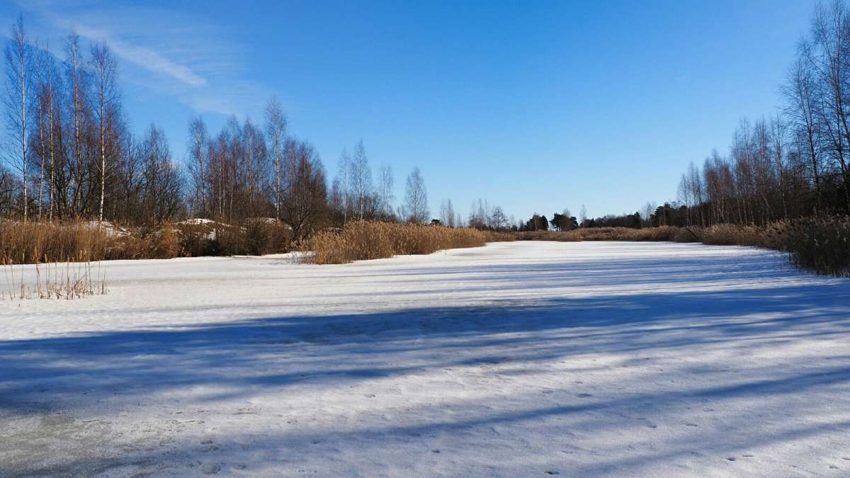 ��� ������� ����� ����! ����� �������� �������� �� PhotoGeek.ru #������ ��� �������