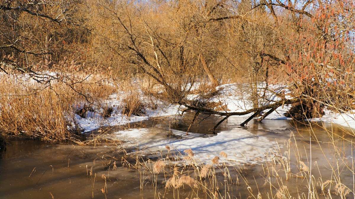 � ���������� �����. ����� �������� �������� �� PhotoGeek.ru #������ ��� �������