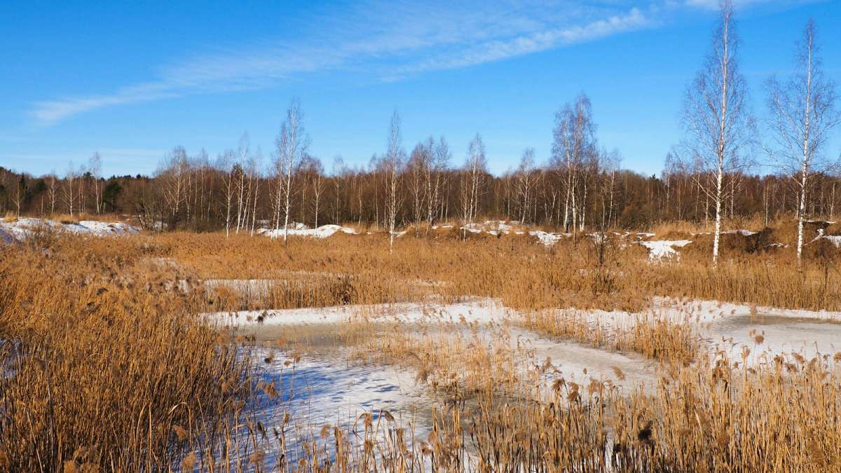 ��� ����������. ����� �������� �������� �� PhotoGeek.ru #������ ��� �������