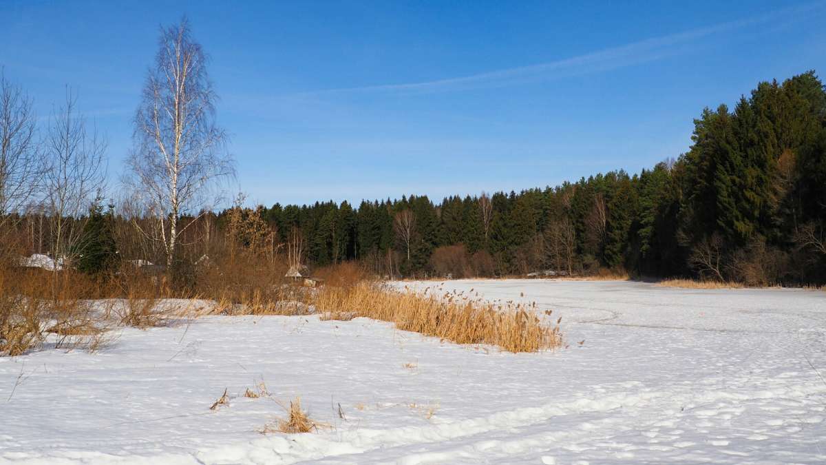 ���������� �����. ����� �������� �������� �� PhotoGeek.ru #������ ��� �������