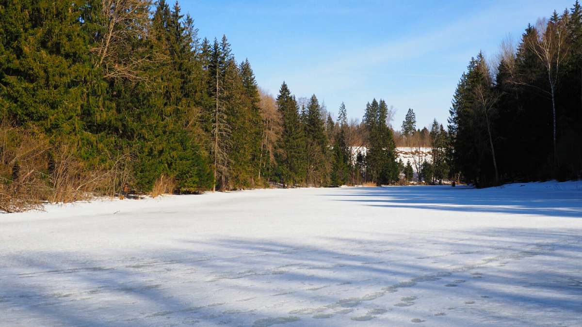 �������� ������. ����� �������� �������� �� PhotoGeek.ru #������ ��� �������