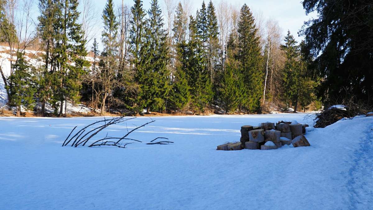 ��� ����������. ����� �������� �������� �� PhotoGeek.ru #������ ��� �������