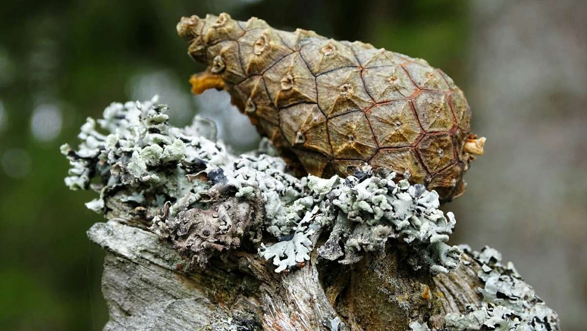 ���������� �������. ����� �������� �������� �� PhotoGeek.ru #����� #������ ��� �������