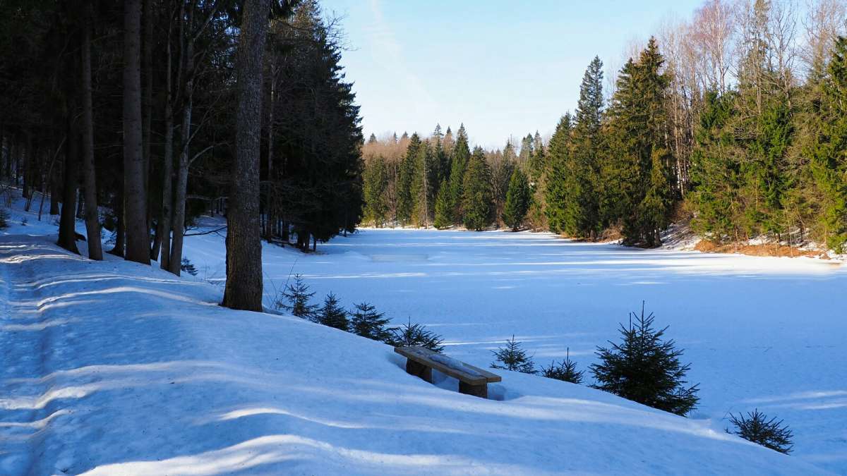 ��� ����������. ����� �������� �������� �� PhotoGeek.ru #������ ��� �������