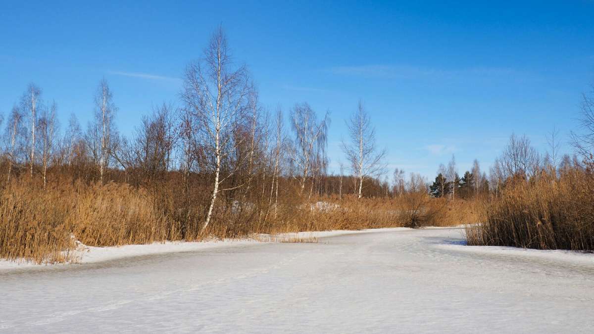 ����� �� ����������. ����� �������� �������� �� PhotoGeek.ru #������ ��� �������