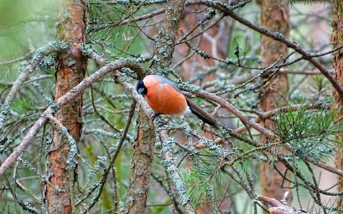 ������� - ����������. ����� �������� �������� �� PhotoGeek.ru #�������� ���