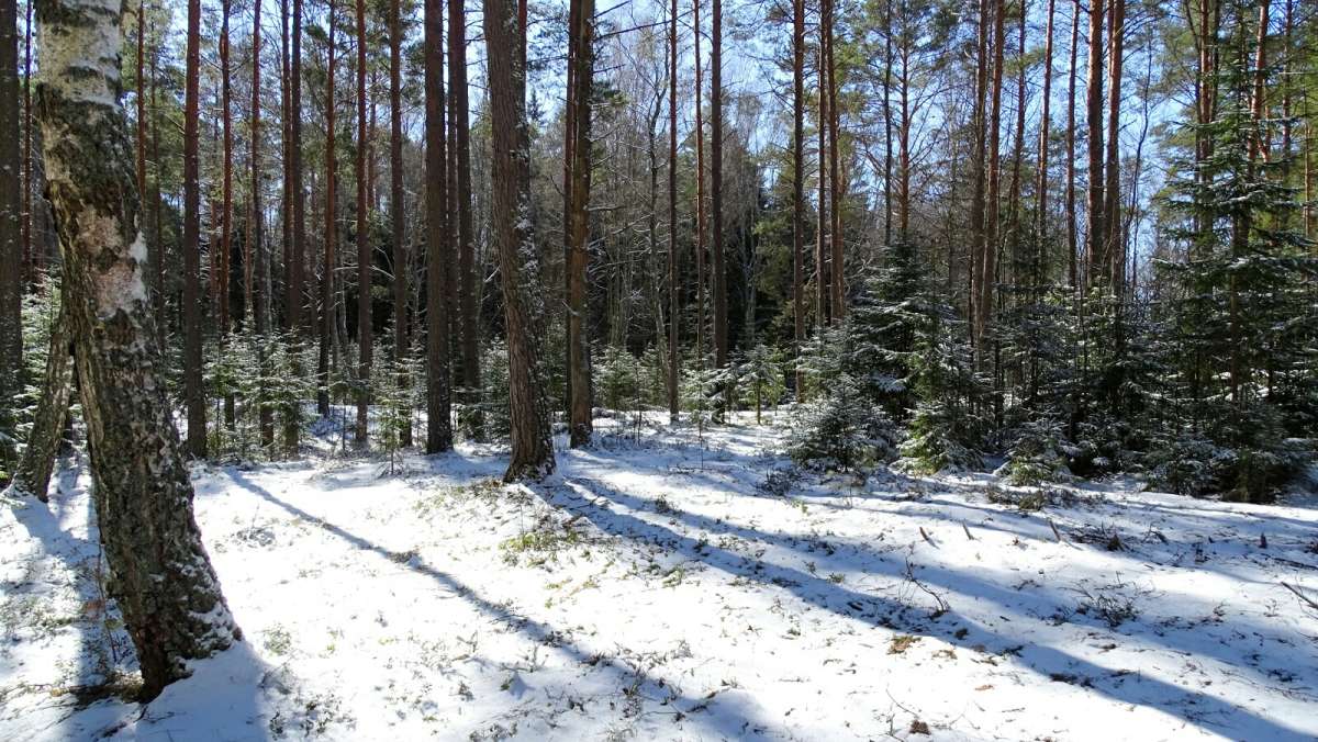 ���������� � �����. ����� �������� �������� �� PhotoGeek.ru #������ ��� �������