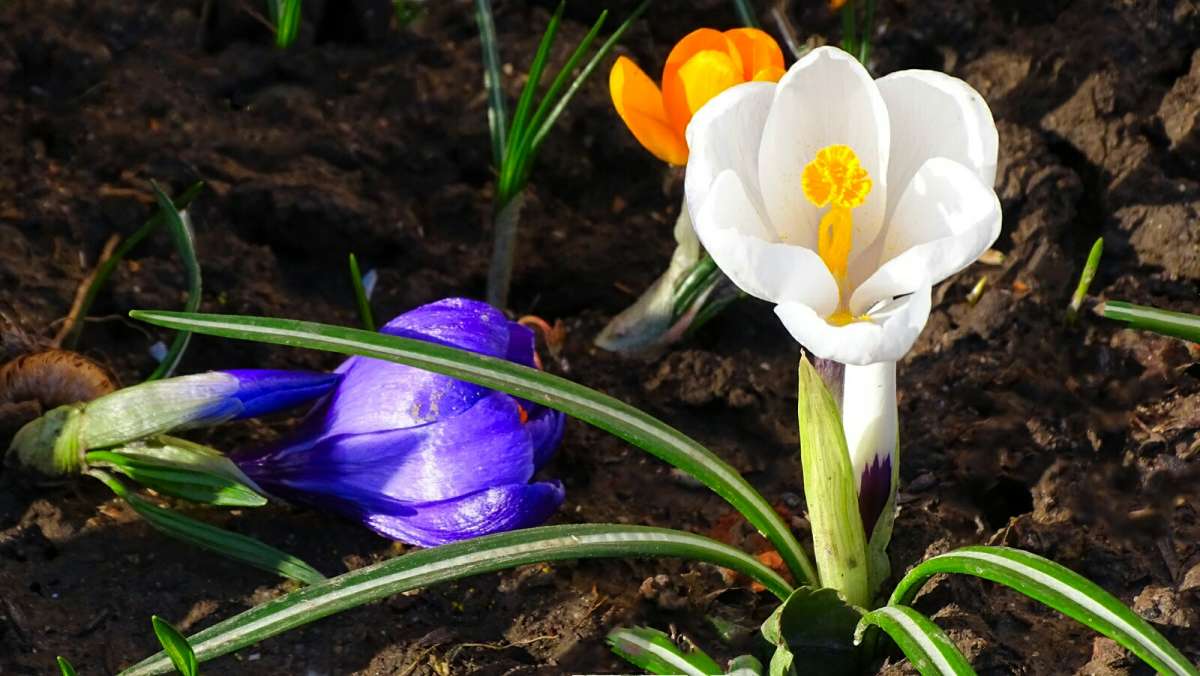 ������� �� ��������� ������� (1) ����� �������� �������� �� PhotoGeek.ru #����� #������ ��� �������