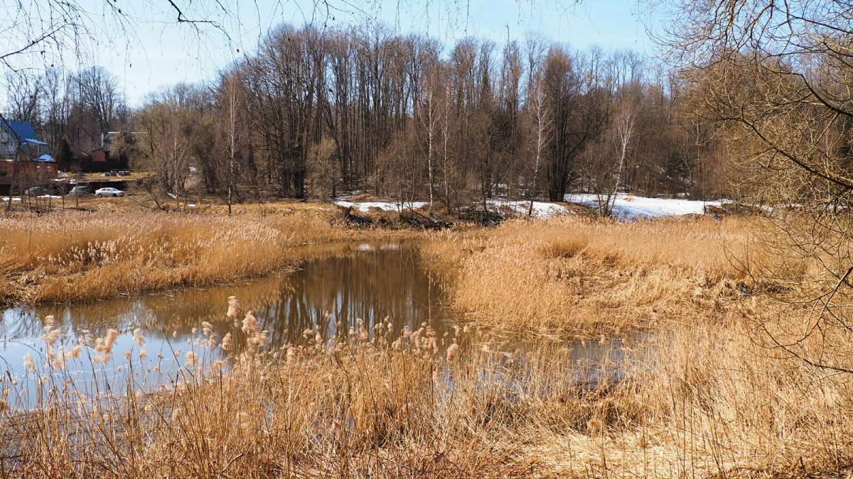 ���������� �����. ����� �������� �������� �� PhotoGeek.ru #������ ��� �������