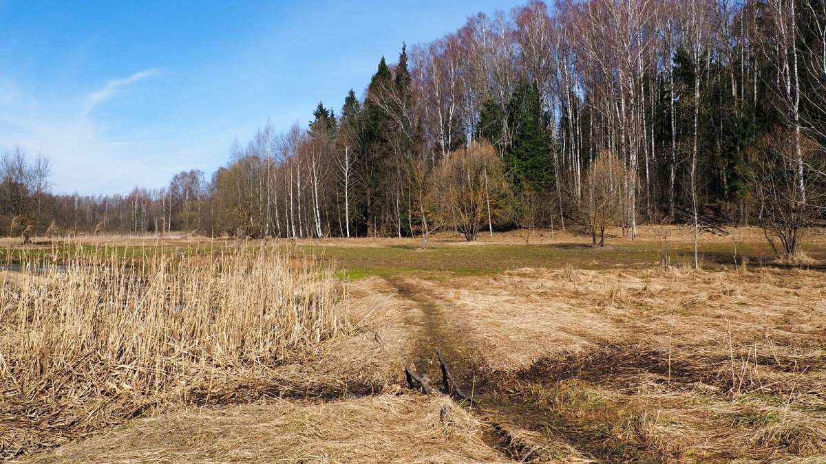 �� ������ "�������" ������ �� ������! ����� �������� �������� �� PhotoGeek.ru #������ ��� �������