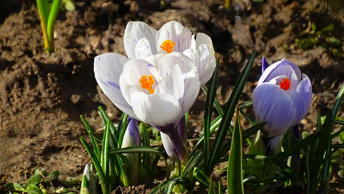 ������� - �������� �����. ����� �������� �������� �� PhotoGeek.ru #����� #�����