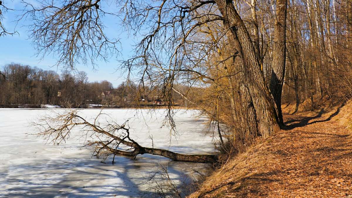 ��� �����. ����� �������� �������� �� PhotoGeek.ru #������ ��� �������