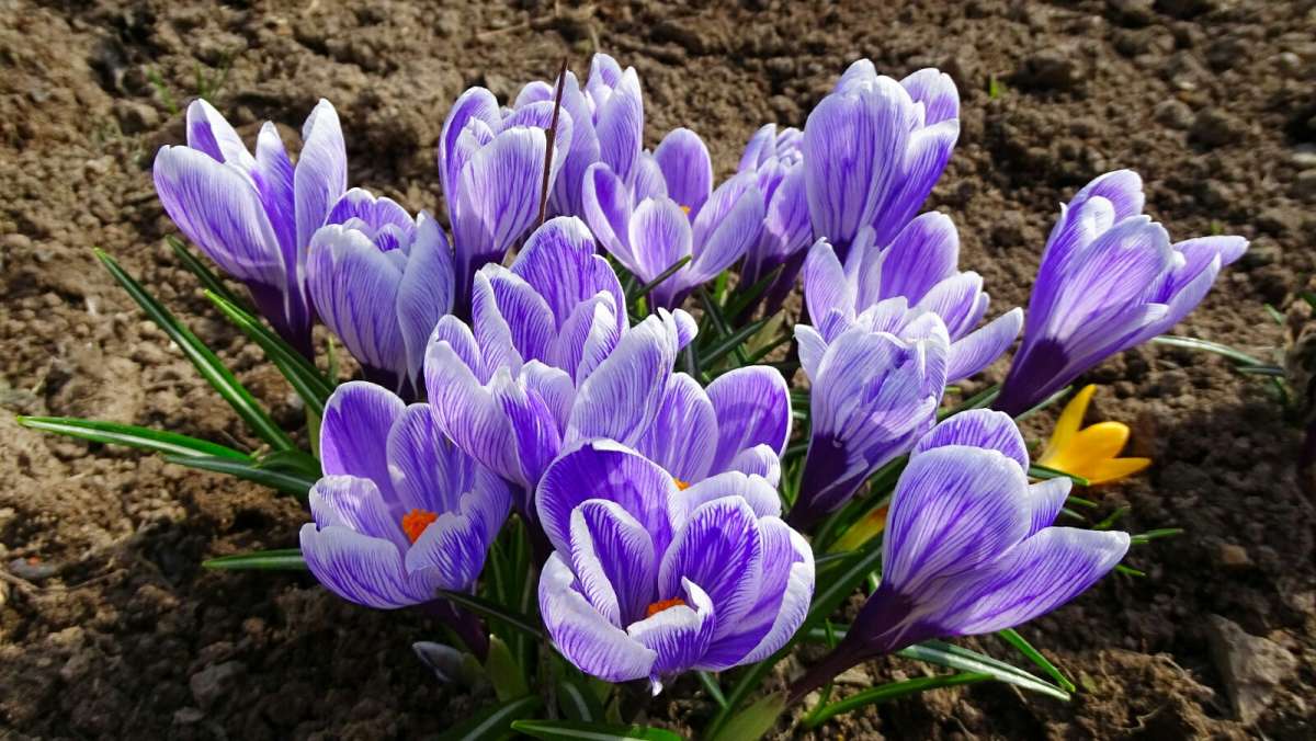 �������. ����� �������� �������� �� PhotoGeek.ru #����� #������ ��� �������