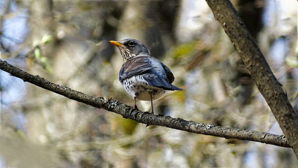 ����� ��������� ���������� �� ��������� �� �! ����� �������� �������� �� PhotoGeek.ru #����� #�������� ���