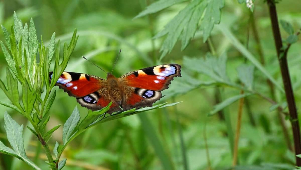 � ��������. ����� �������� �������� �� PhotoGeek.ru #����� #�������� ��� #������ ��� �������