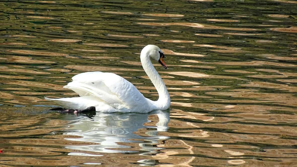 �� ����� ����� �������. ����� �������� �������� �� PhotoGeek.ru #����� #�������� ���