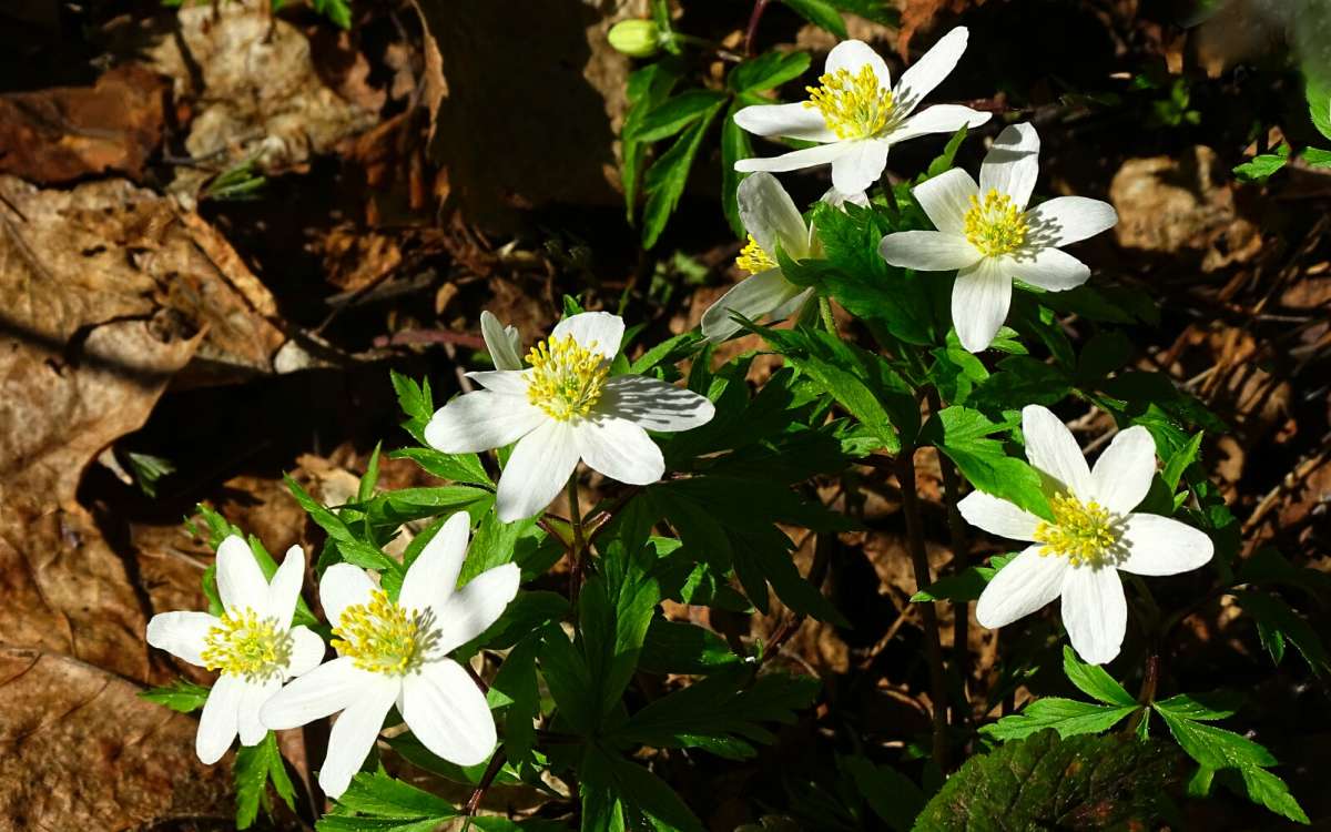 ������ �������� ��������� ���������. ����� �������� �������� �� PhotoGeek.ru #������ ��� �������