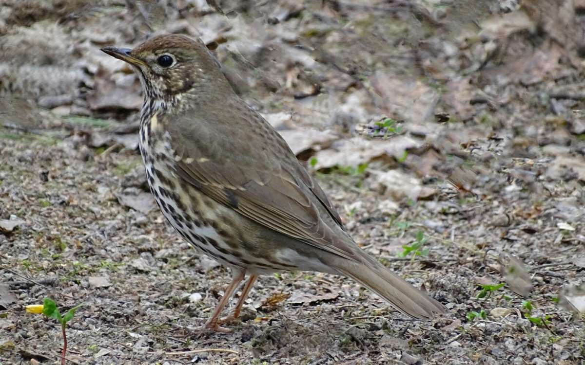 ������ ���������� �����. ����� �������� �������� �� PhotoGeek.ru #����� #�������� ���