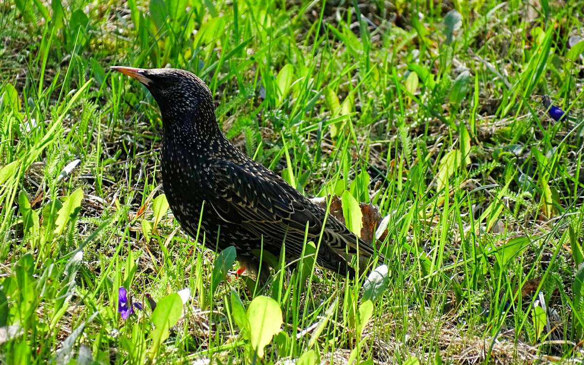 ������� ���������! ����� �������� �������� �� PhotoGeek.ru #����� #�������� ���