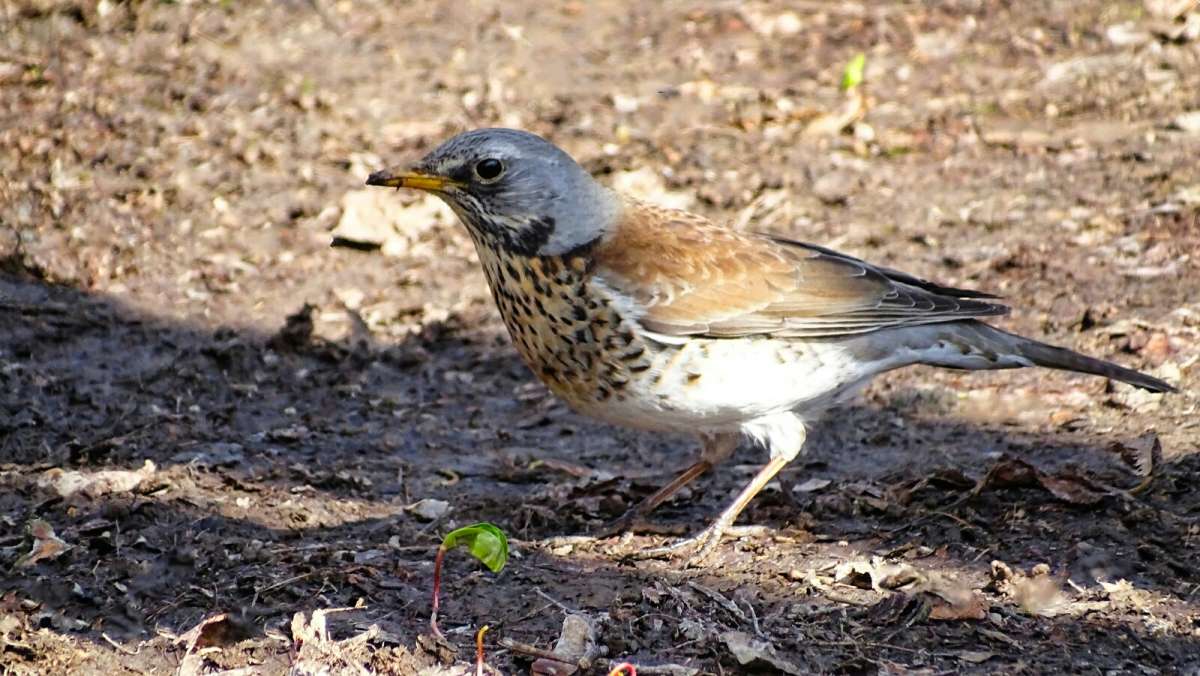 ���������������. ����� �������� �������� �� PhotoGeek.ru #����� #�������� ���