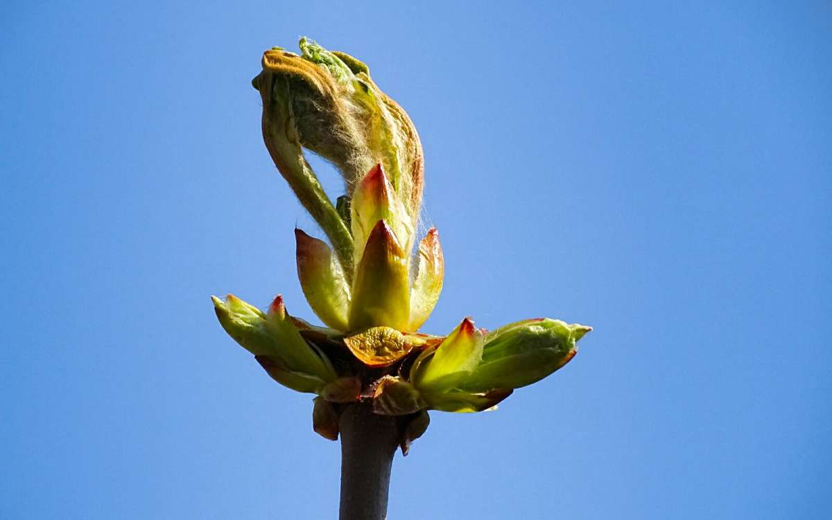 �������� �������, ������� ��  �����. ����� �������� �������� �� PhotoGeek.ru #����� #�����