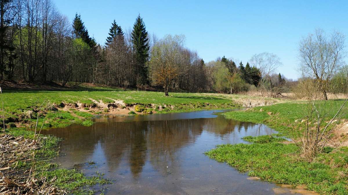 �������� ������. ����� �������� �������� �� PhotoGeek.ru #������ ��� �������