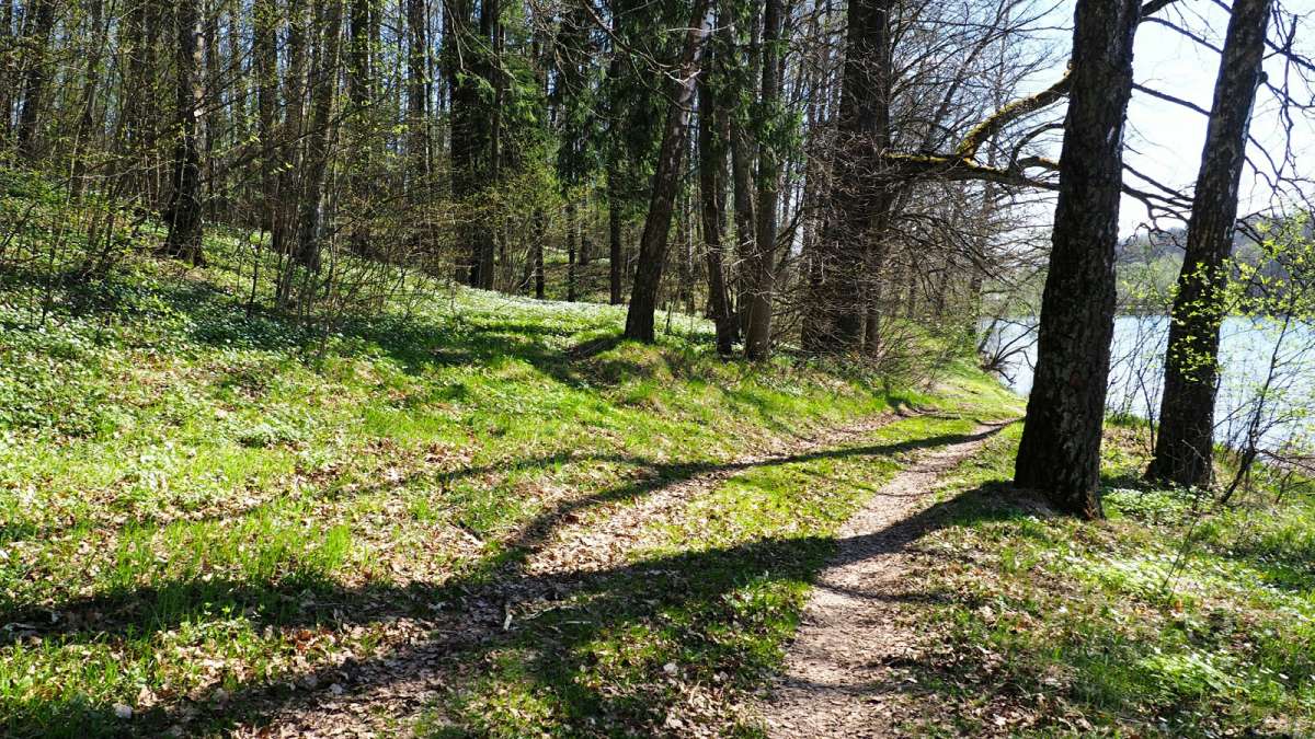 ������ �� ����������. ����� �������� �������� �� PhotoGeek.ru #������ ��� �������