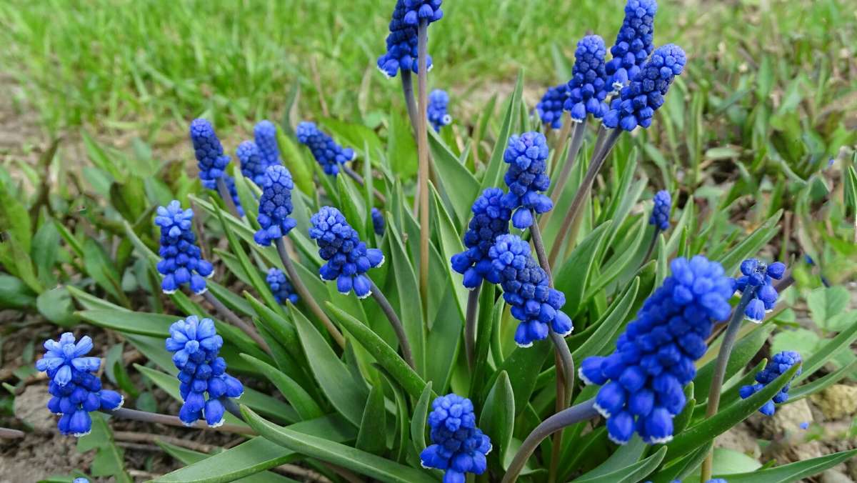 ������� �� ��������� ������. ����� �������� �������� �� PhotoGeek.ru #����� #������ ��� �������