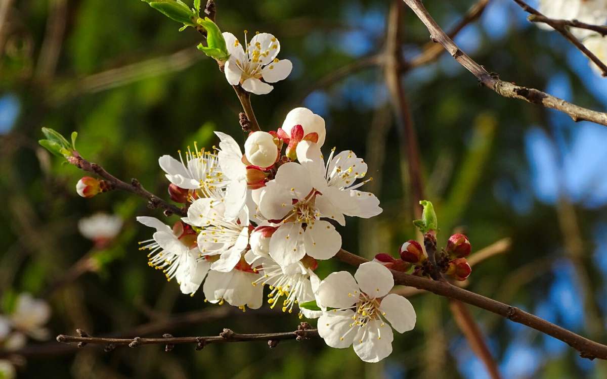 ��� �����. ����� �������� �������� �� PhotoGeek.ru #����� #����� #������ ��� �������