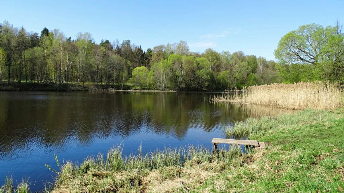 ����� �� ����������. ����� �������� �������� �� PhotoGeek.ru #������ ��� �������