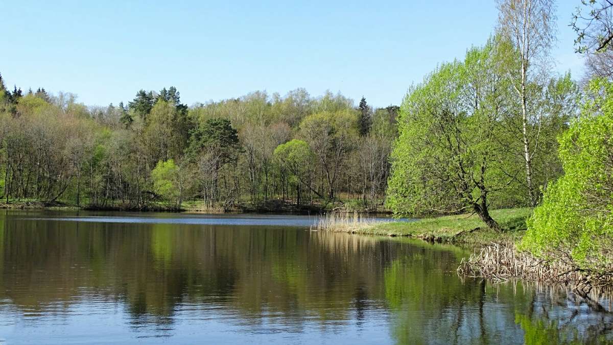 ����� �� ����������. ����� �������� �������� �� PhotoGeek.ru #������ ��� �������