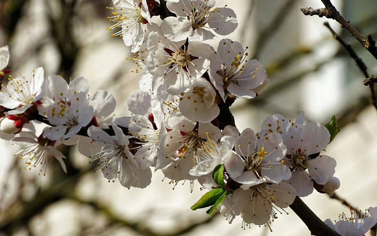 �������� ������. ����� �������� �������� �� PhotoGeek.ru #����� #�����