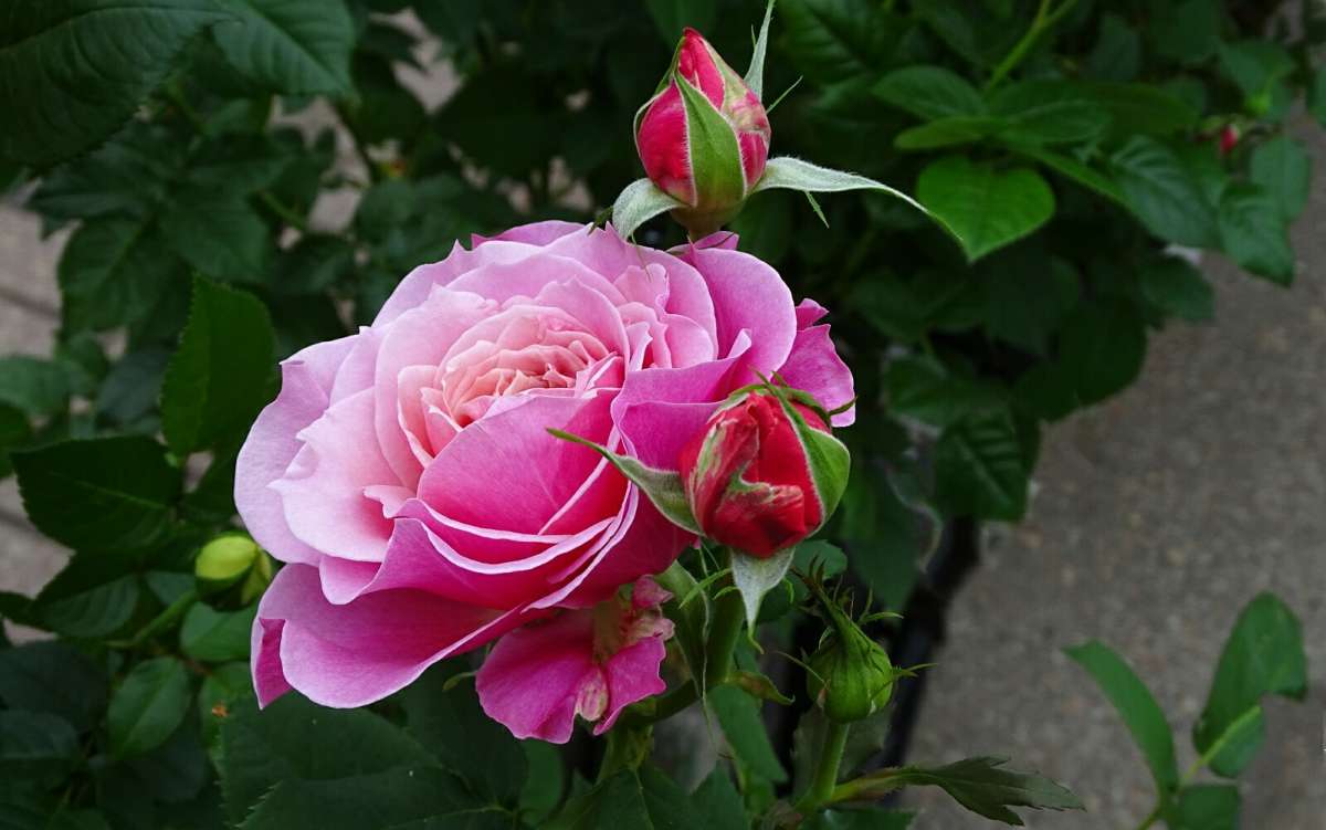 �������� ����. ����� �������� �������� �� PhotoGeek.ru #����� #�����