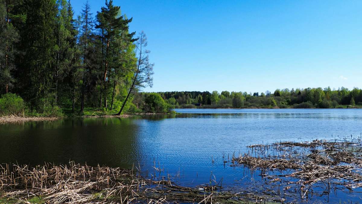 ��� ���������� �����. ����� �������� �������� �� PhotoGeek.ru #������ ��� �������