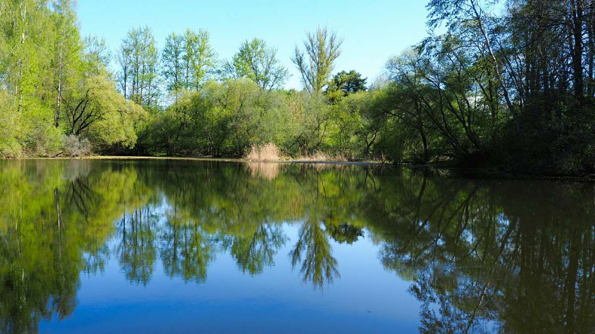 ��� ����������. ����� �������� �������� �� PhotoGeek.ru #������ ��� �������