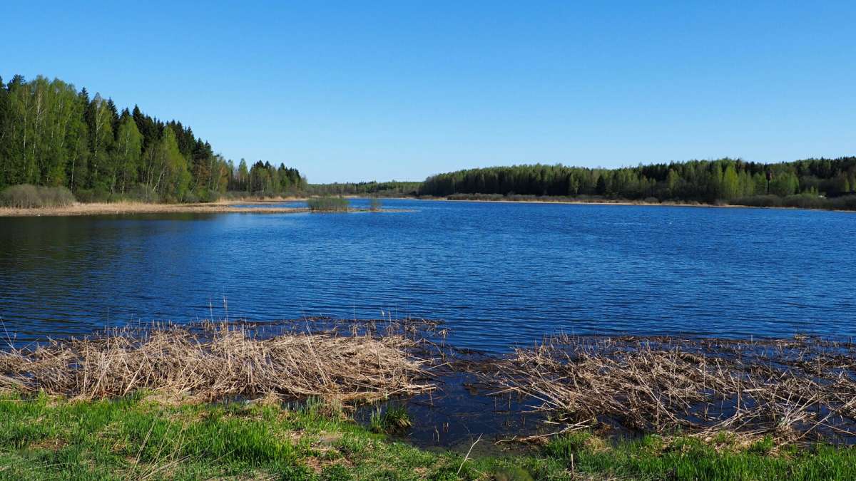 ��� ����. ����� �������� �������� �� PhotoGeek.ru #������ ��� �������