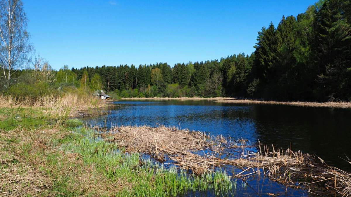 �������� ������. ����� �������� �������� �� PhotoGeek.ru #������ ��� �������