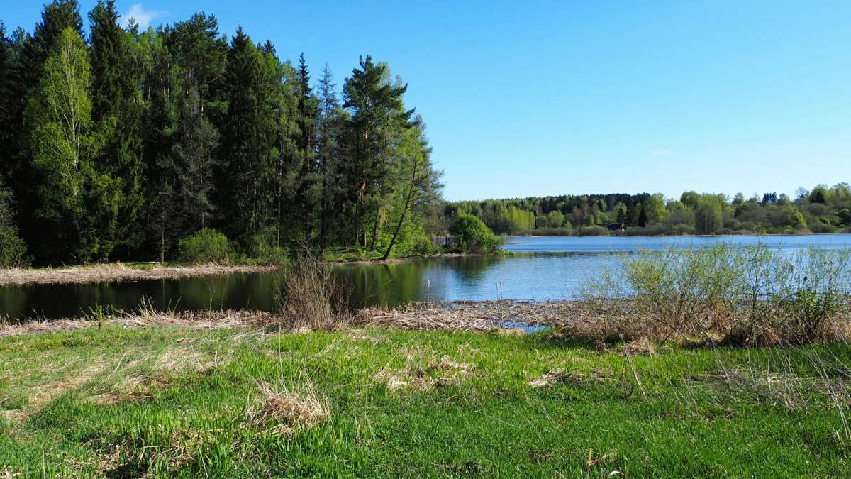 ��� ����������. ����� �������� �������� �� PhotoGeek.ru #������ ��� �������