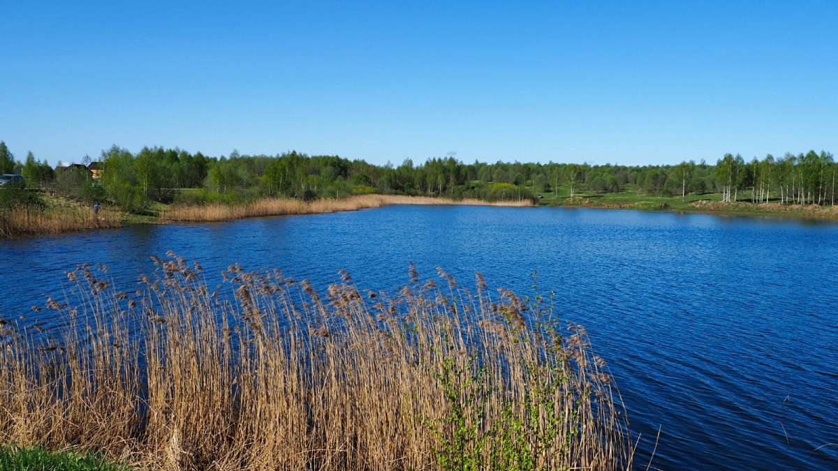 ��� ����. ����� �������� �������� �� PhotoGeek.ru #������ ��� �������