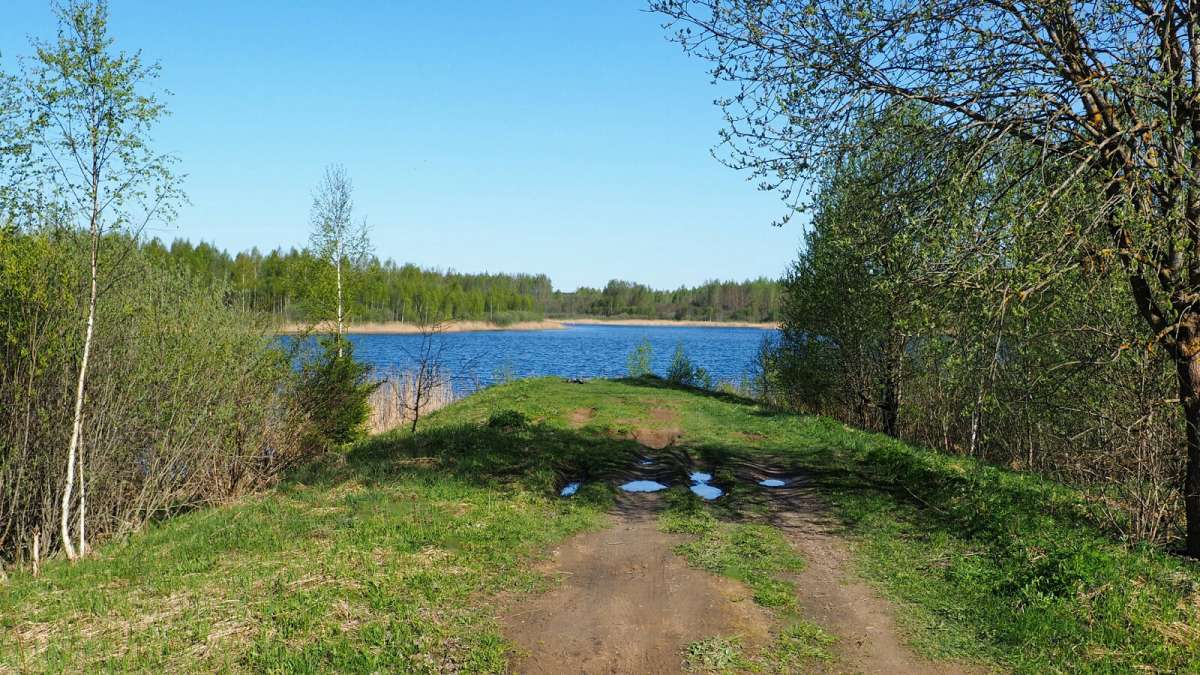 ������� ������ � �����. ����� �������� �������� �� PhotoGeek.ru #������ ��� �������