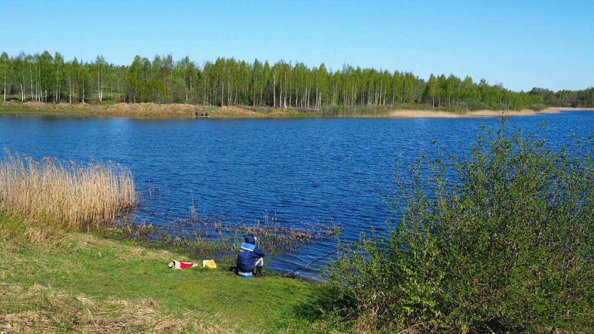 �� �����! ����� �������� �������� �� PhotoGeek.ru #������ ��� �������